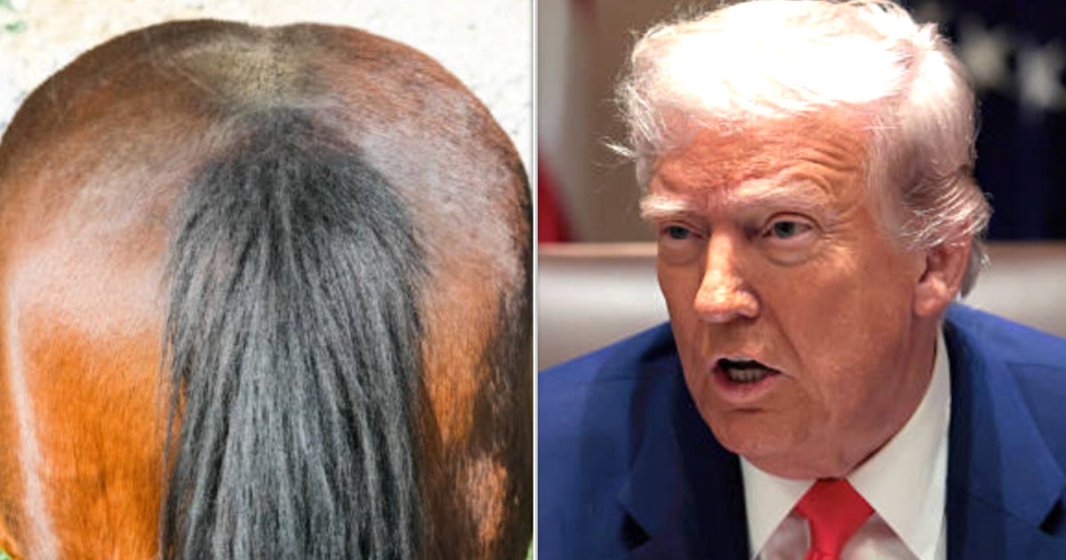 Jimmy Fallon Uses Kentucky Derby To Make A Horse's Ass Out Of Trump