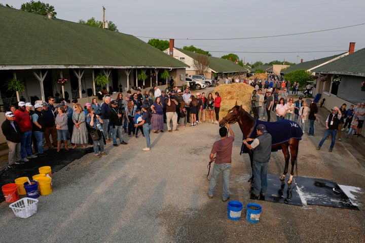 People watch while Kentucky Derby entrant Journalism gets a bath after a workout at Churchill Downs Tuesday, April 29, 2025, in Louisville, Ky. (AP Photo/Charlie Riedel)