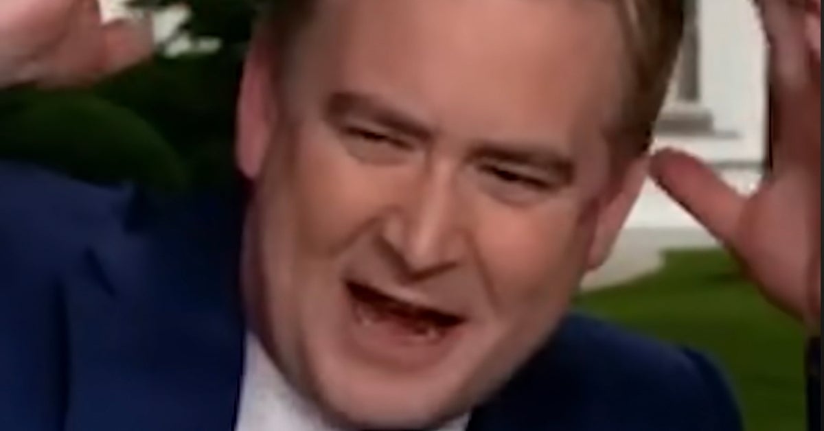 Fox News’ Peter Doocy Faces Another Avian Ambush At The White House