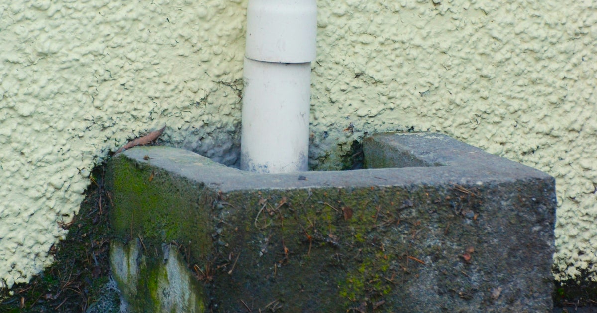 UK Gardeners Urged To Check Drains Before It's Too Late