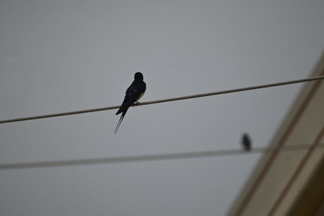 Φωτογραφία αρχείου