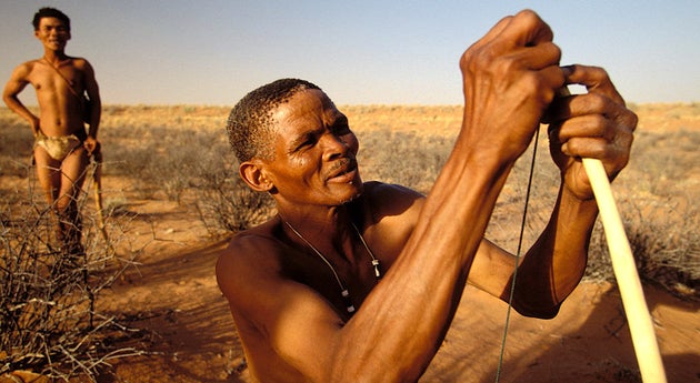 南部アフリカの狩猟採集民族サン族