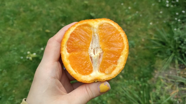 Orange in the garden