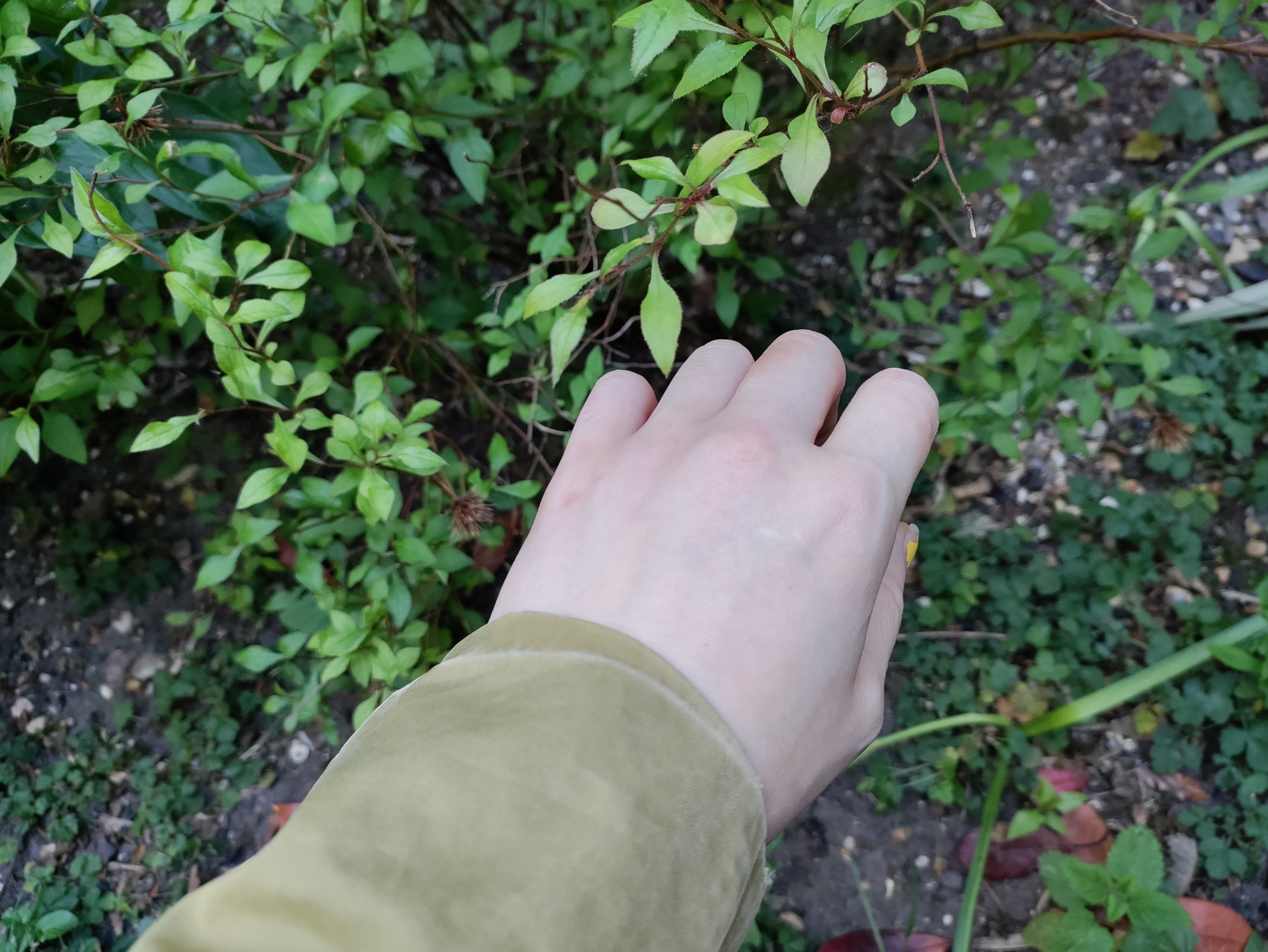 UK Gardeners Advised To Try 'Knuckle Test' During Hot Weather