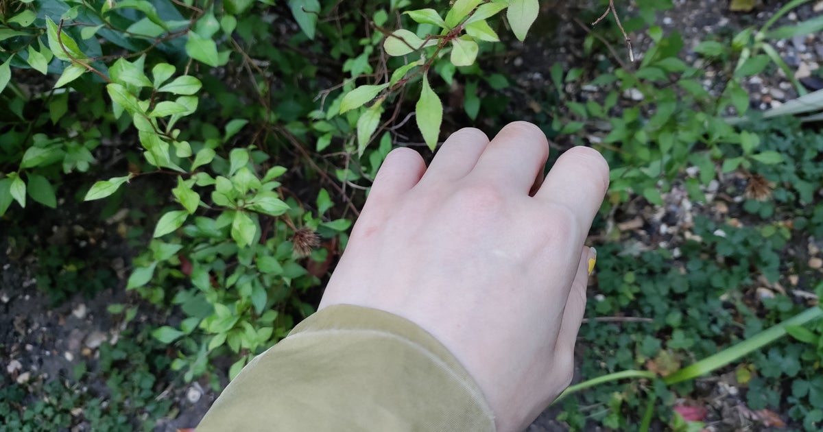 UK Gardeners Advised To Try 'Knuckle Test' During Hot Weather