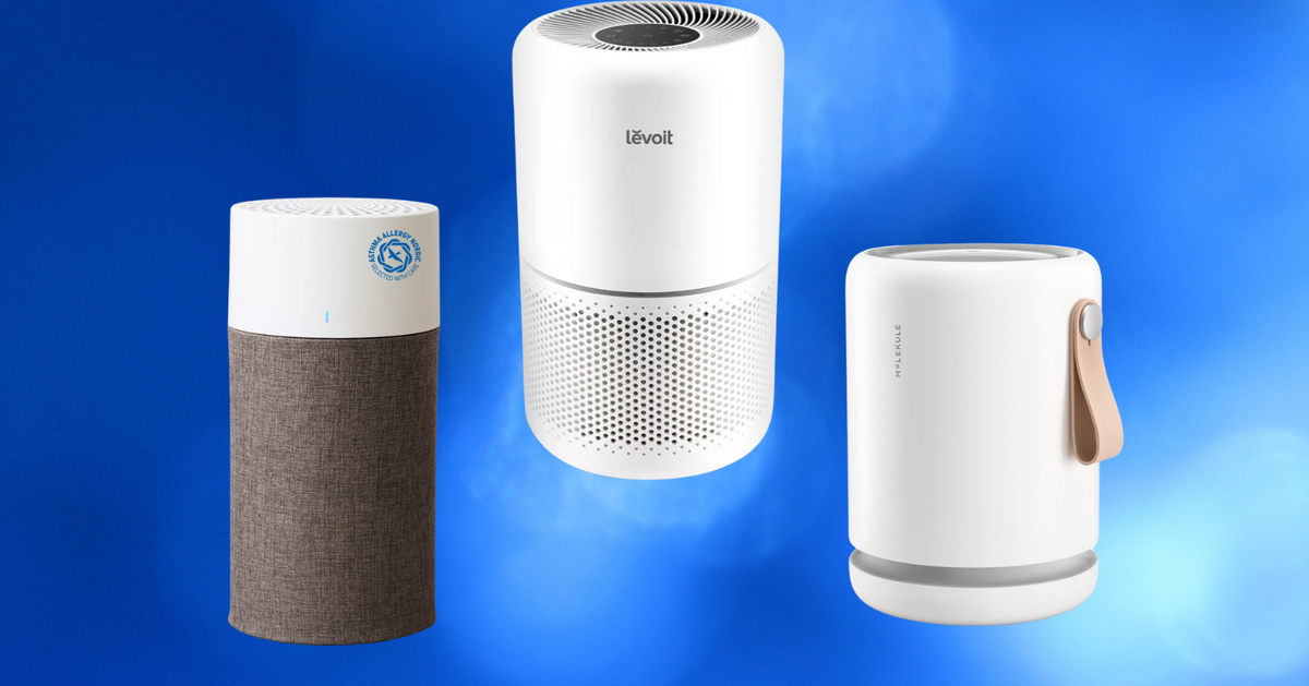 People With Asthma And Allergies Share The Air Purifiers That 'Actually Make A Difference'