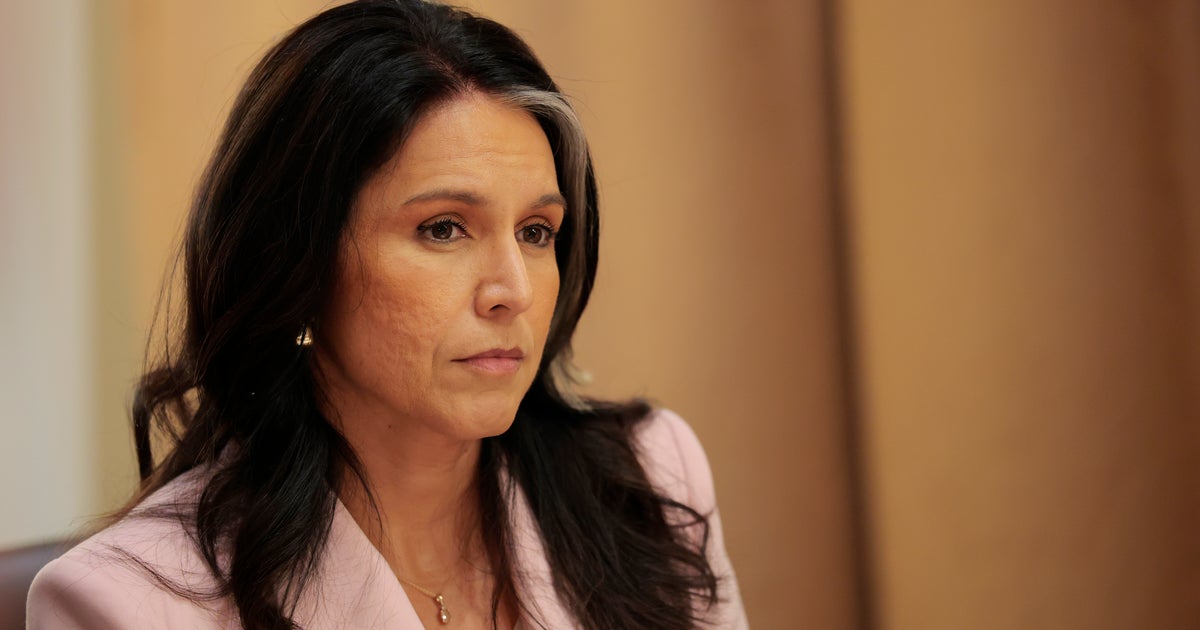 NextImg:Tulsi Gabbard Fires Officials After Assessment Finds Trump's Tren De Aragua Claims False