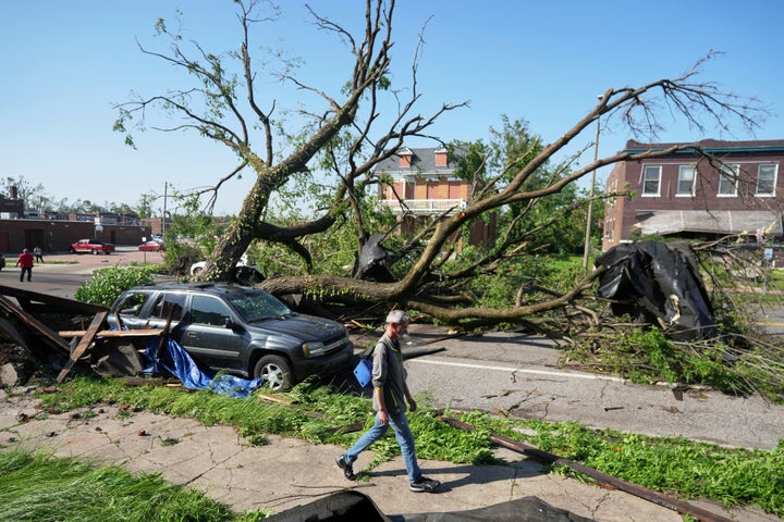 A person walks past a large tree blocking a road after a severe storm moved through Friday, May 16, 2025, in St. Louis. (AP Photo/Jeff Roberson)