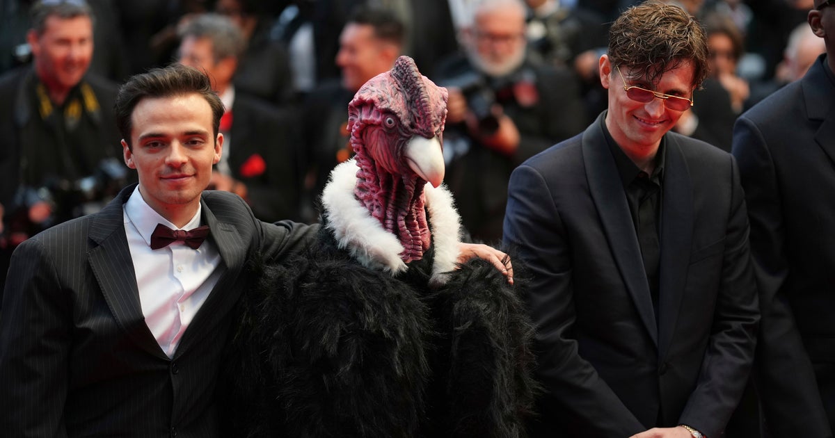 Bird Man On Red Carpet Leaves Cannes Squawking