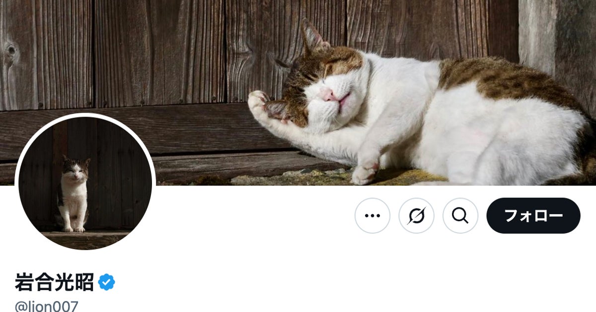 写真家・岩合光昭、愛猫タマトモの珍しい正面顔を投稿。「親バカだなぁと思い知る」