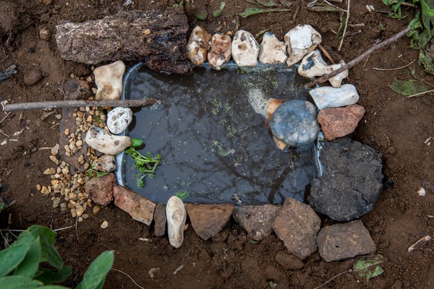 Making a mini pond, completed pond, Potton lower school, Bedfordshire, England, March 2015