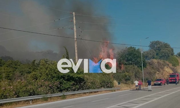 Φωτιά στην Εύβοια