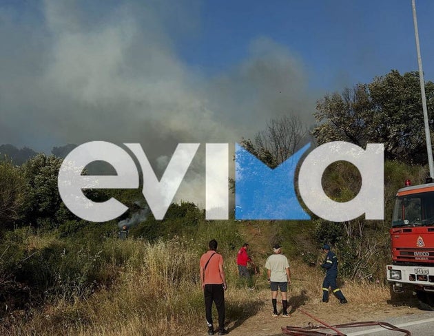 Φωτιά στην Εύβοια