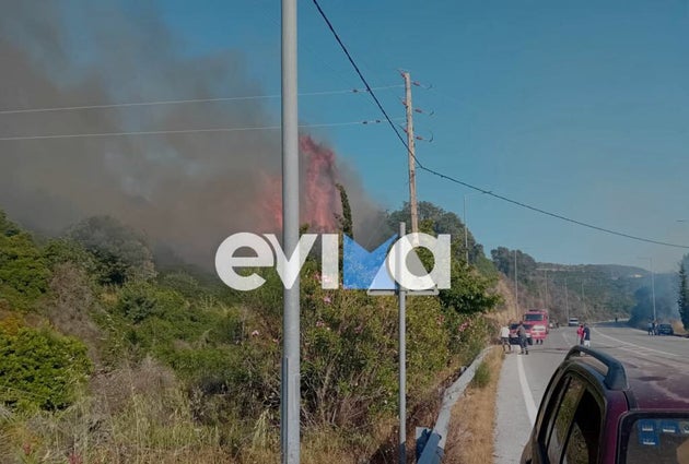 Φωτιά στην Εύβοια