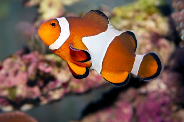 Φωτογραφία Αρχείου.