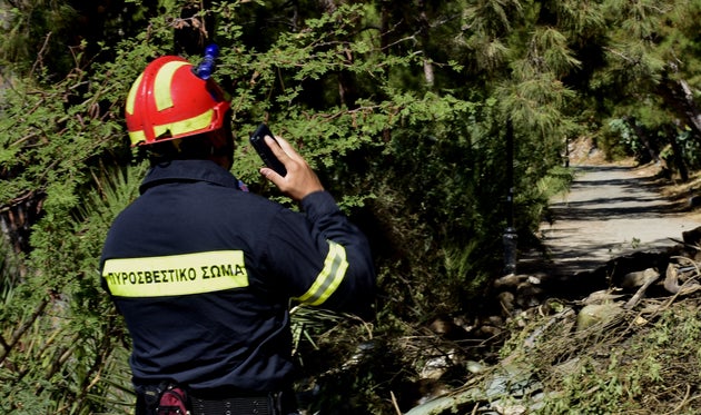 Φωτογραφία αρχείου