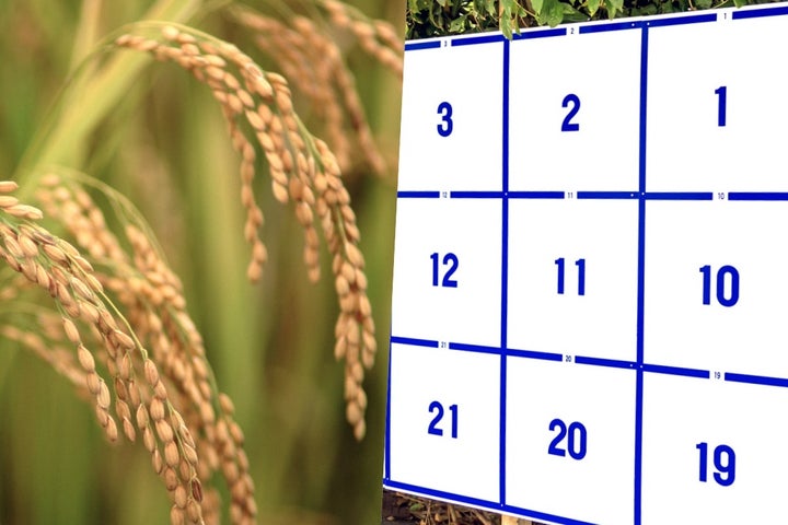 （イメージ写真）