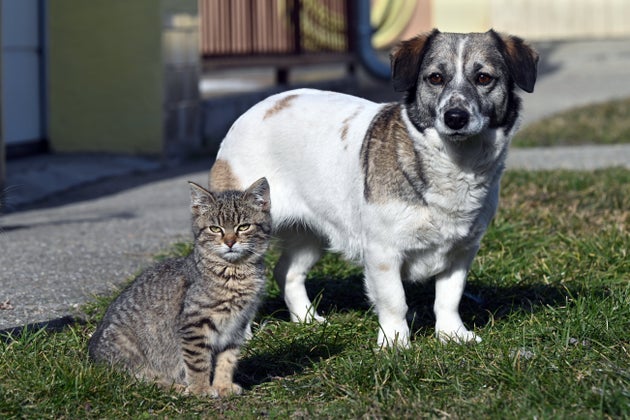 (Φωτογραφία Αρχείου)