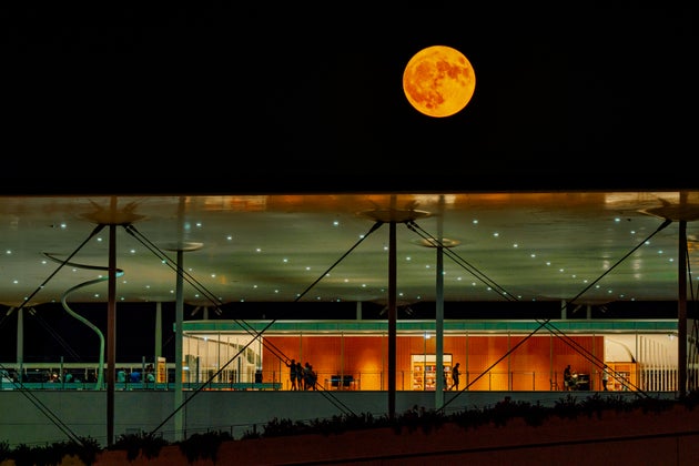 Full Moon Sleepovers