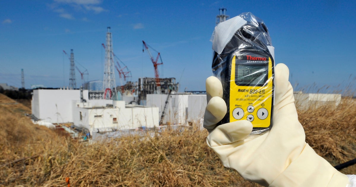 Japan Prime Minister's Flowerbeds To Use Slightly Radioactive Soil From Fukushima