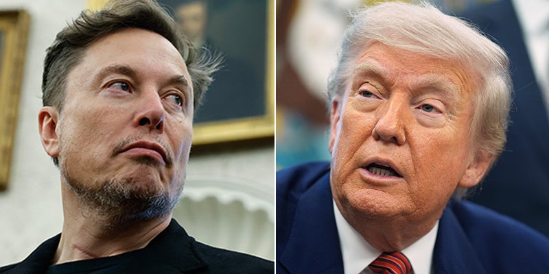 musk/trump