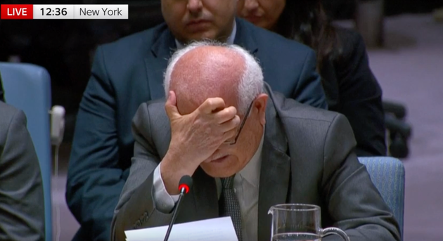 Palestinian ambassador speaks at UN Security Council