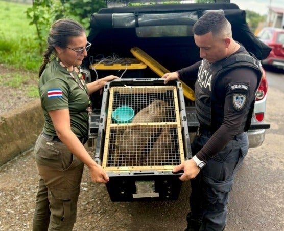 押収されたカピバラ