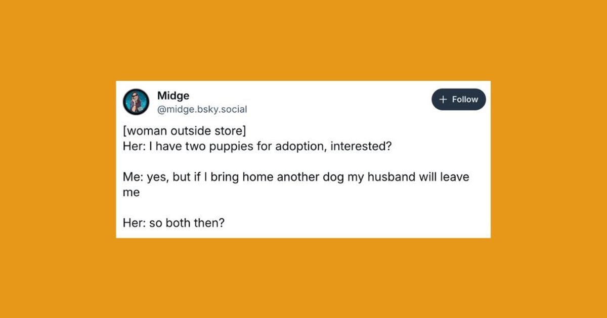 22 Of The Funniest Posts About Cats And Dogs This Week