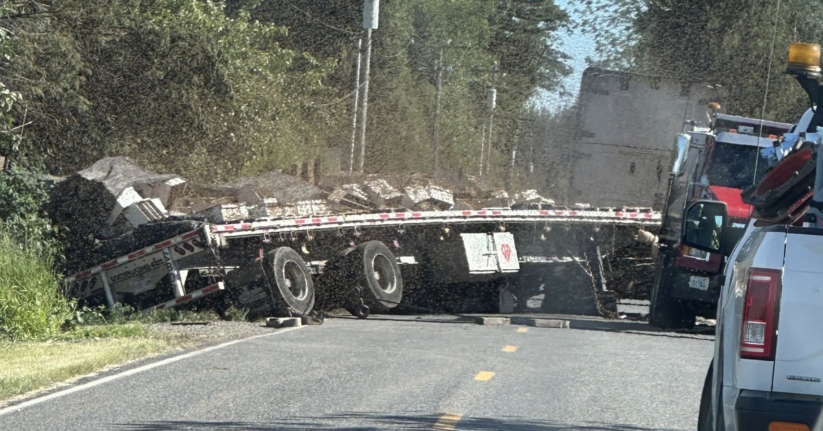 Huge Buzz: Millions Of Honeybees Escape After Truck Overturns