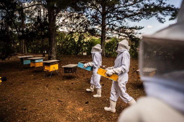 Φωτογραφία αρχείου.