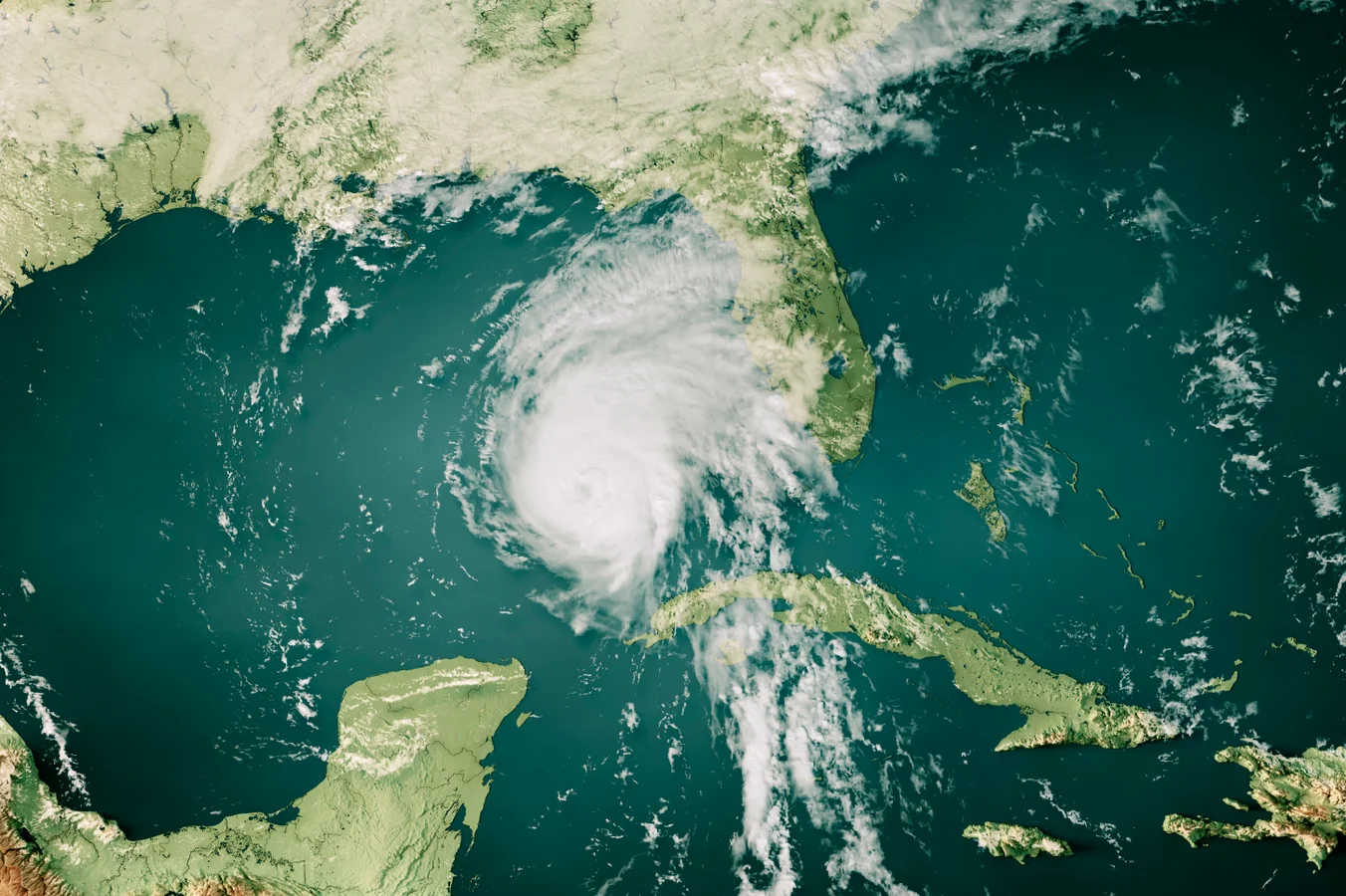 Fema Head flubs