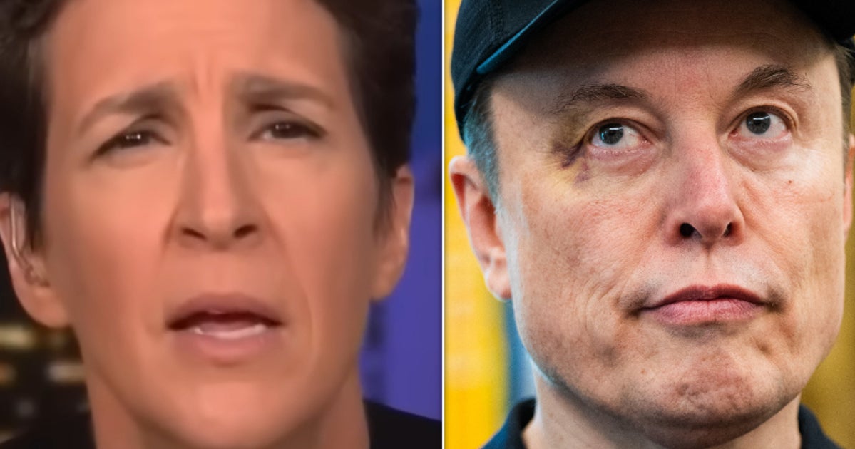 Rachel Maddow Nails Brutal Metaphor For Elon Musk’s Impact On Government