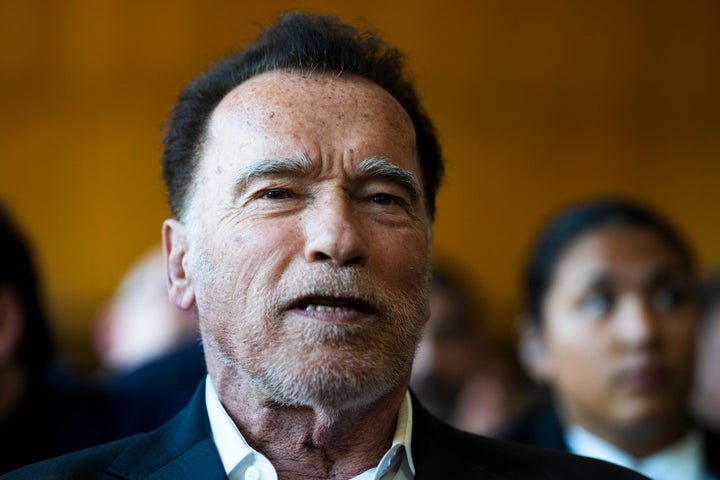 Arnold Schwarzenegger, the former Republican governor of California, has devoted time to environmental causes since leaving political office in 2011.