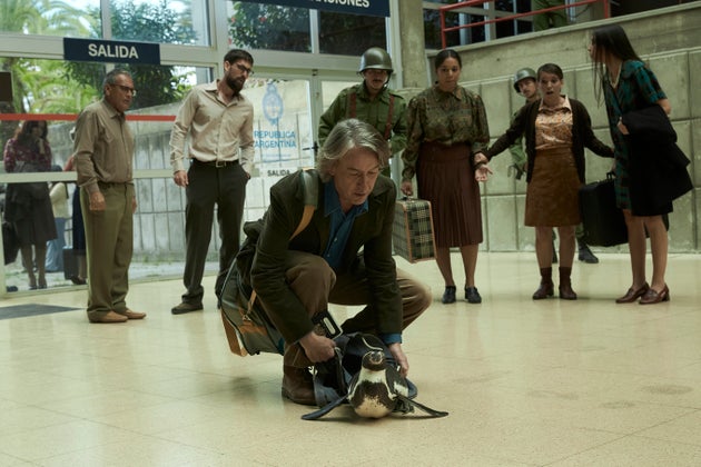 Στιβ Κούγκαν στην ταινία «Μαθήματα από έναν Πιγκουίνο». 