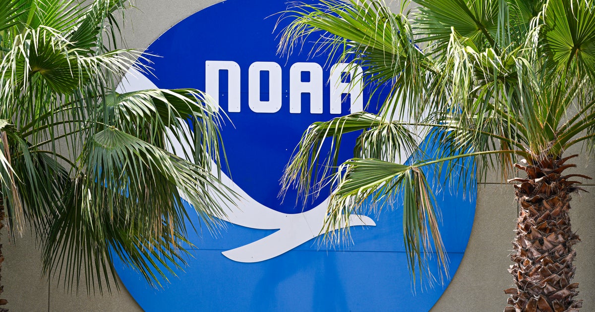 Trump Job Cuts Hobble NOAA Team That Reopens Ports After Hurricanes