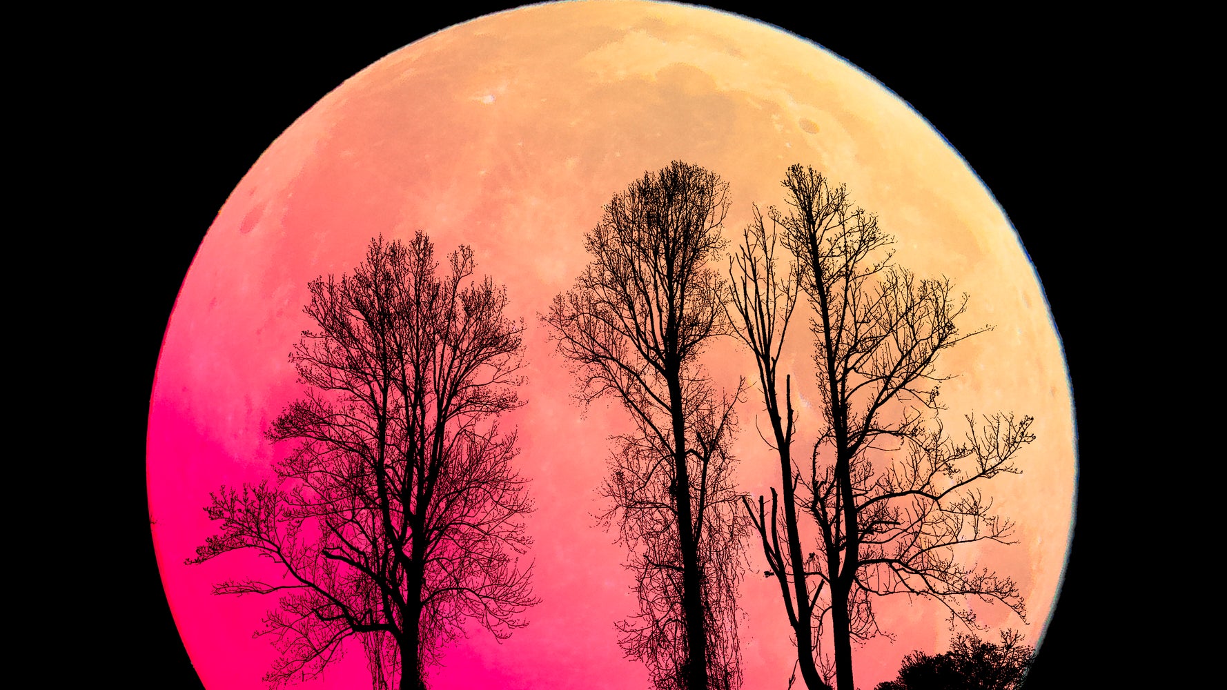 2025年6月の満月は「ストロベリームーン」。観測できる日時と名前の