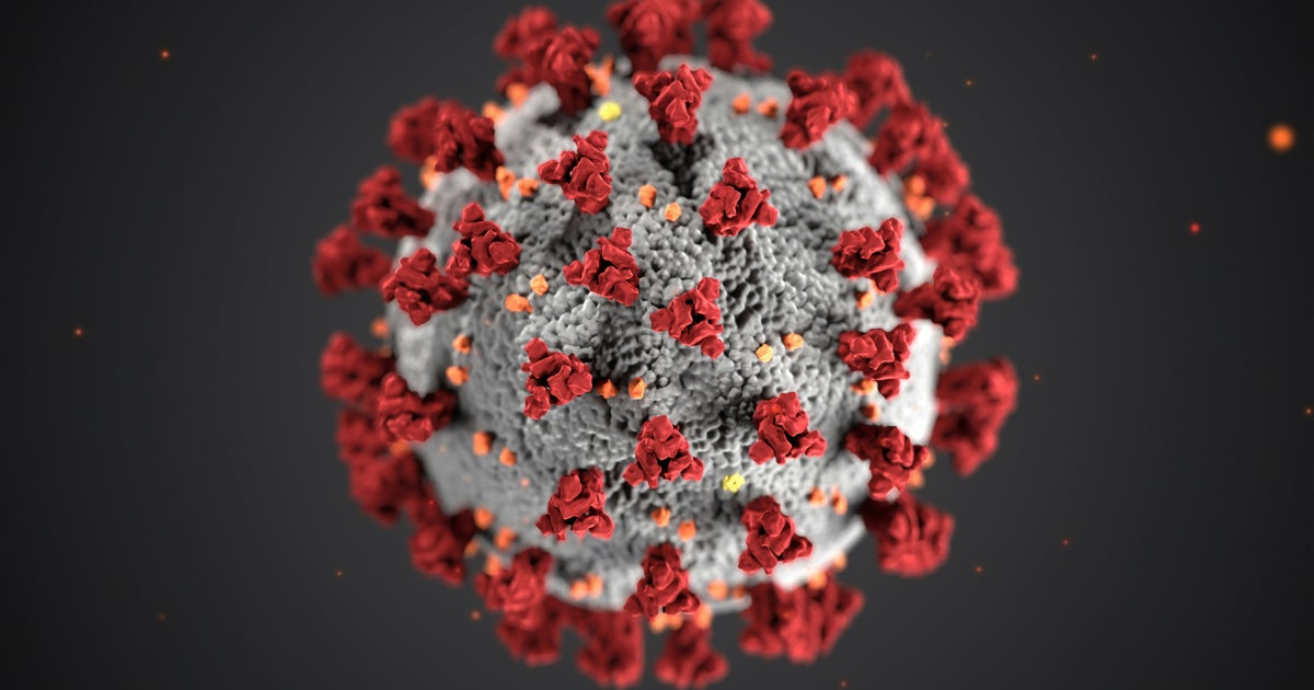A New Contagious Covid Variant Is In The UK – Everything We Know So Far A New Contagious Covid Variant Is In The UK – Everything We Know So Far