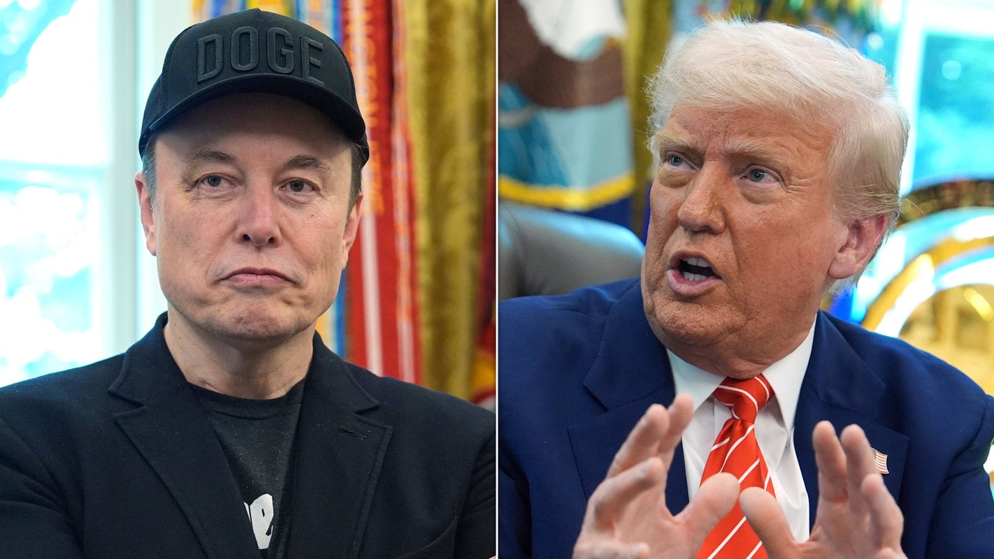 Elon Musk, Donald Trump