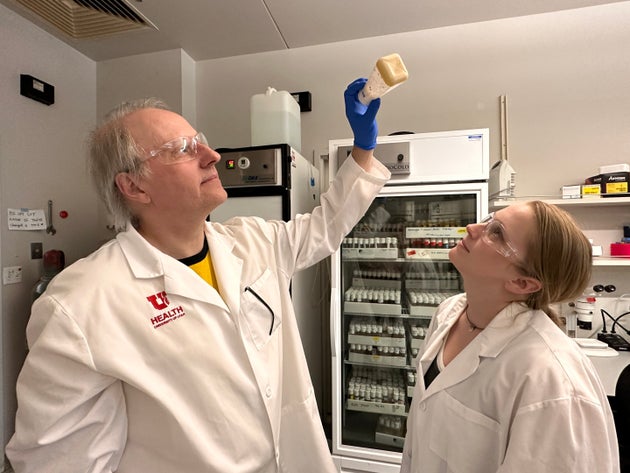 Ο Adrian Rothenfluh, Ph.D. (αριστερά) και η Pearl Cummins-Beebee (δεξιά, επίσης συγγραφέας της έρευνας) επιθεωρούν ένα μπουκάλι με μύγες φρούτων στο εργαστήριο.