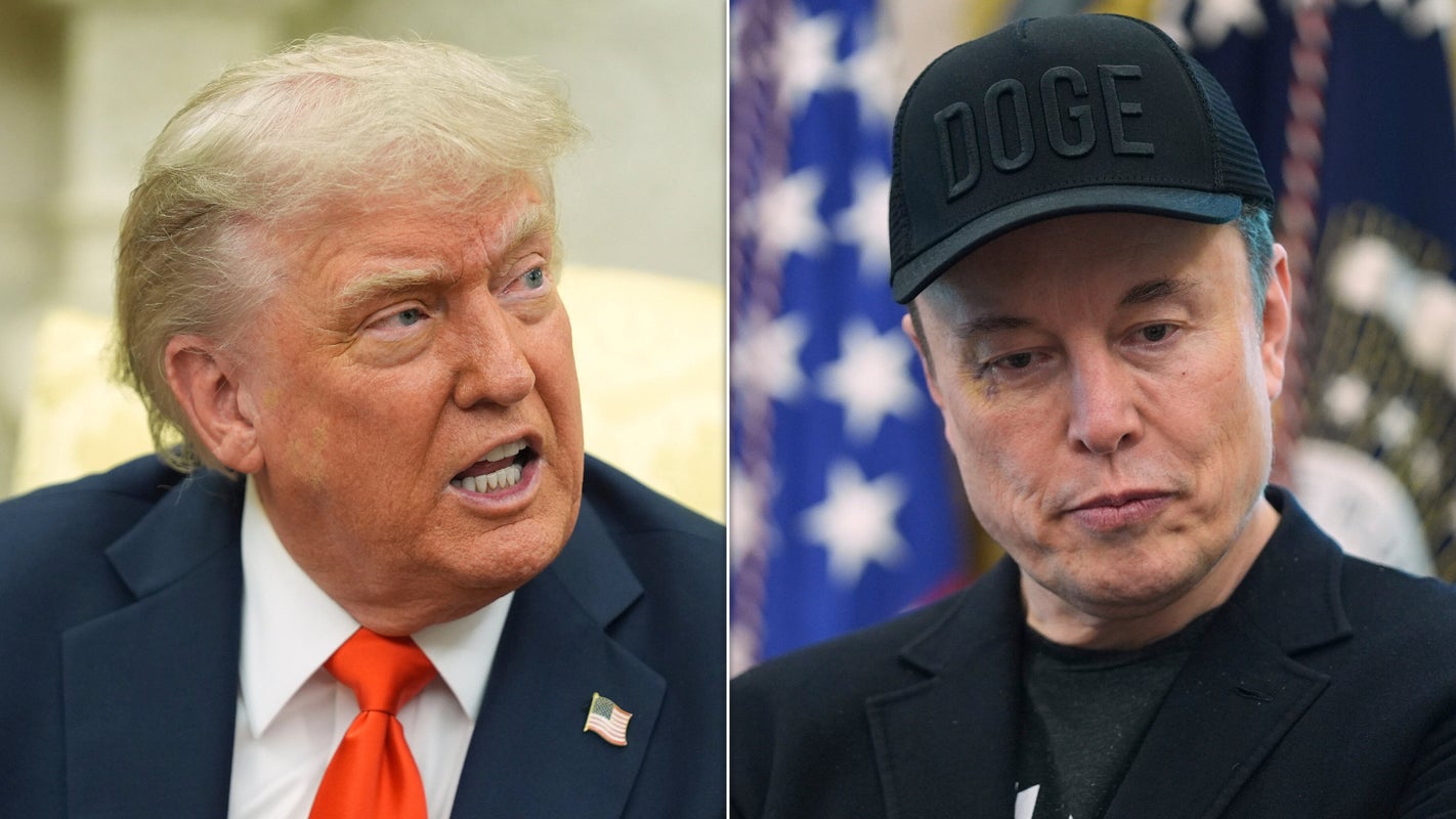 Donald Trump, Elon Musk