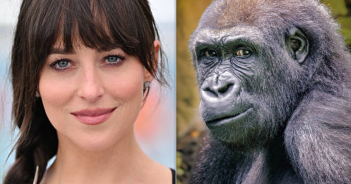 Dakota Johnson Says She Pulled Disgusting Prank — And Lie Detector Indicates It's The Truth