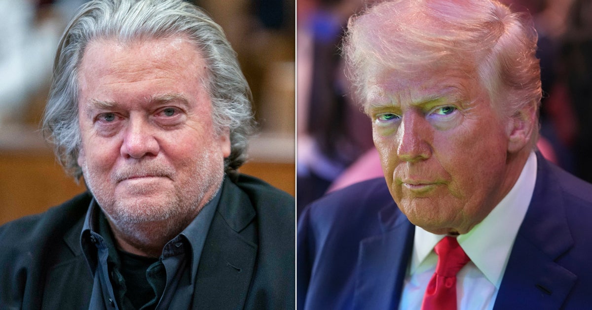 Steve Bannon Admits He'd Hate If Democrats Did 1 Thing Trump Is Doing