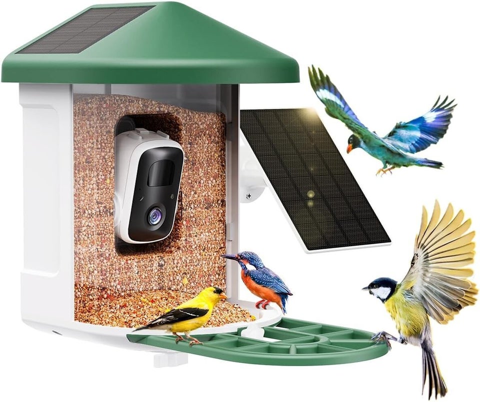Are Bird Feeder Cameras Worth It? Uncover the Truth Today!