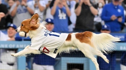 大谷翔平選手の愛犬・デコピン