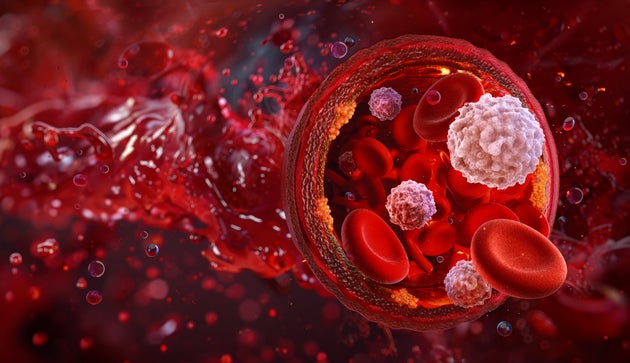 Φωτογραφία αρχείου.