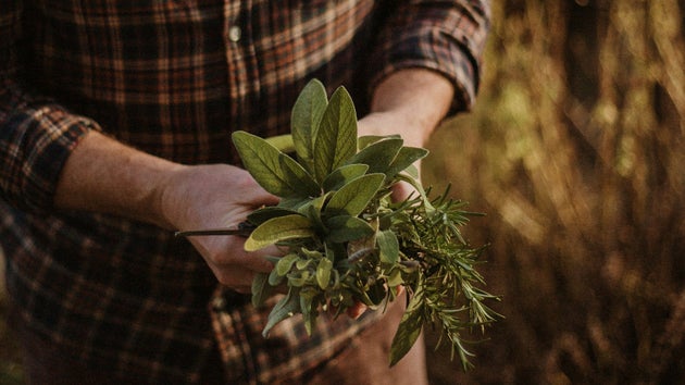 A bundle of herbs