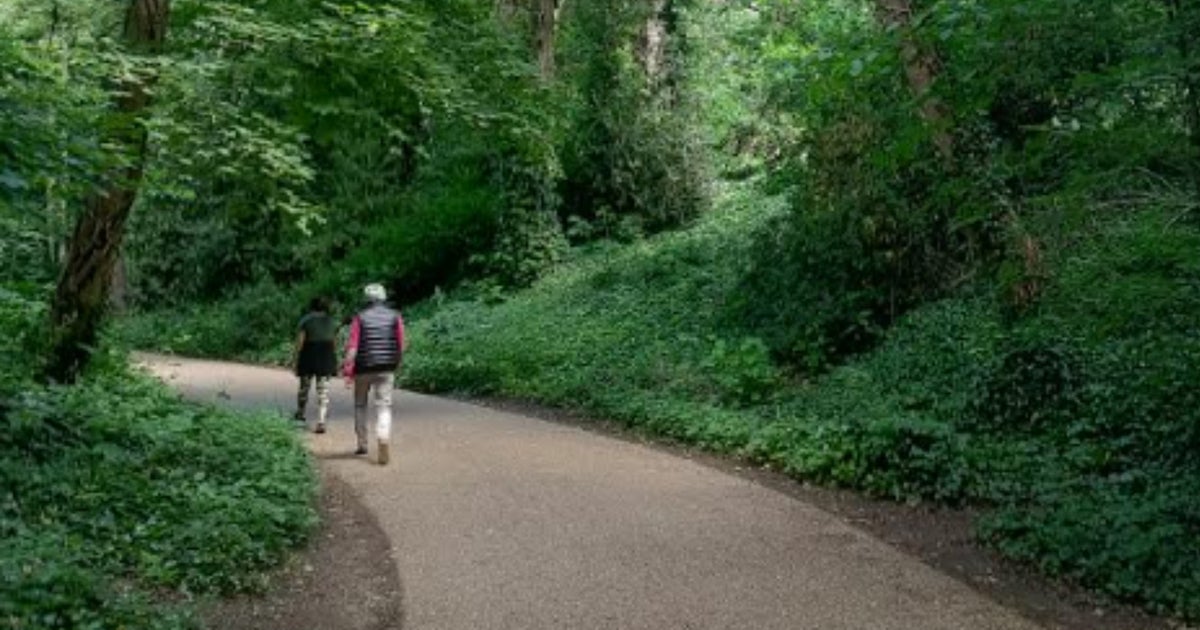 I Swapped 10,000 Steps A Day For 30 Minutes Of 'Japanese Walking' – I've Never Been More Active