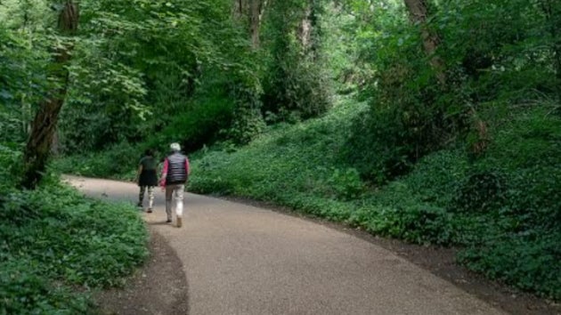 Walking in Epping Forest