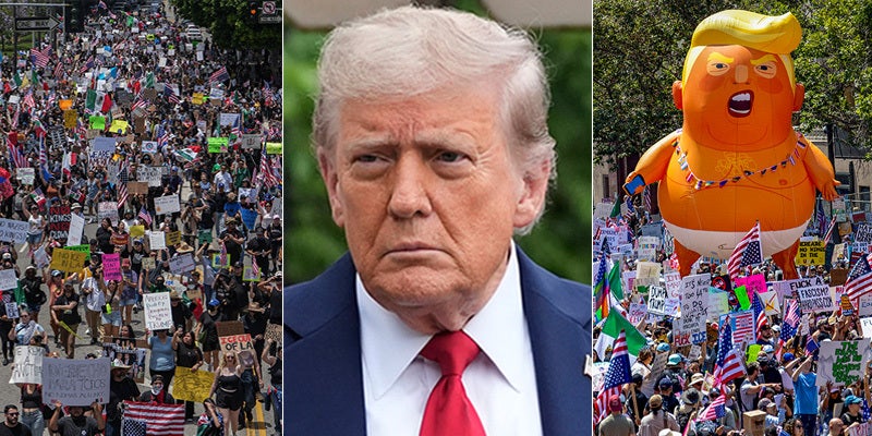 trump/protest
