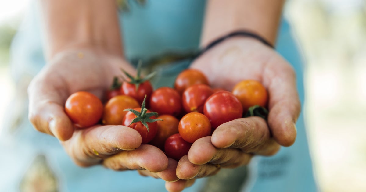 Is It Safe To Eat Food Straight From Your Garden Without Washing It?